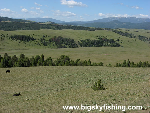 Rolling Hills & Excellent Views