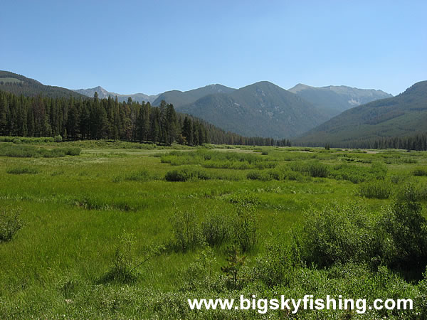 Open Meadows and Scenic Vistas