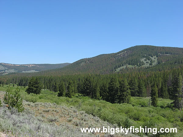 Northern End of the Pioneer Mountains Scenic Byway