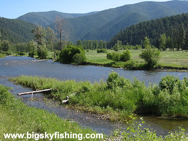 Lower Rock Creek