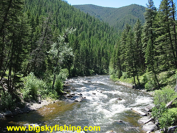 Rapids on Rock Creek