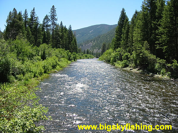 Rock Creek and Forested Mountains