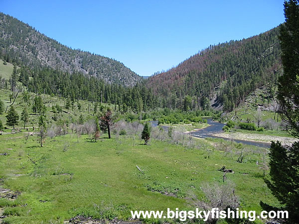 Meadow and Old Burn Area Along Rock Creek