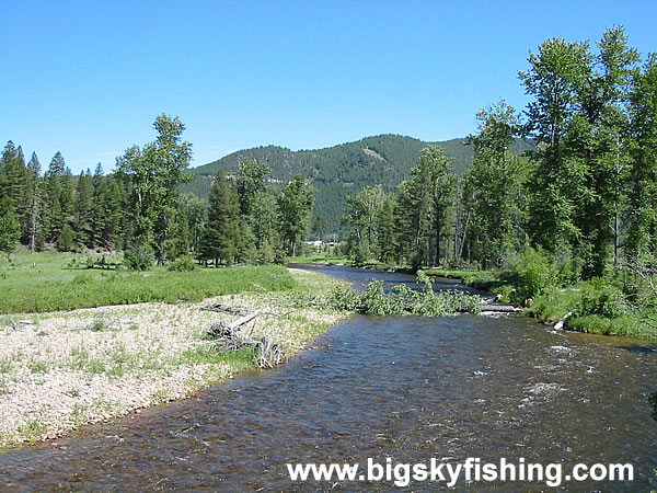 Meadows Along Rock Creek