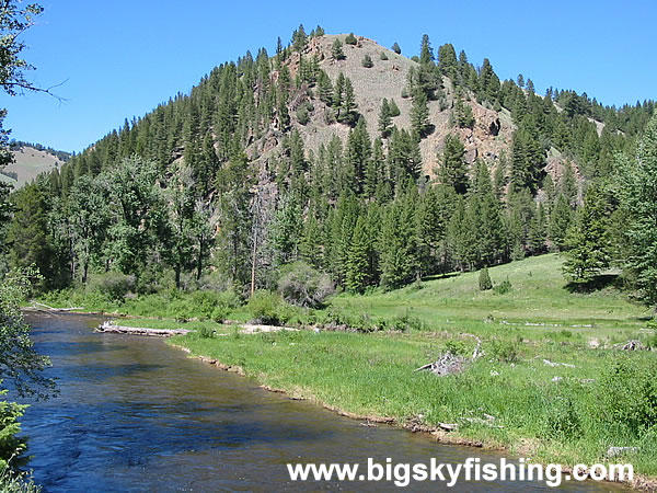 Meadows and Forested Montains