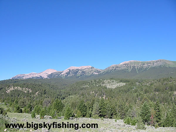 High Peaks of the Snowcrest Range in Montana