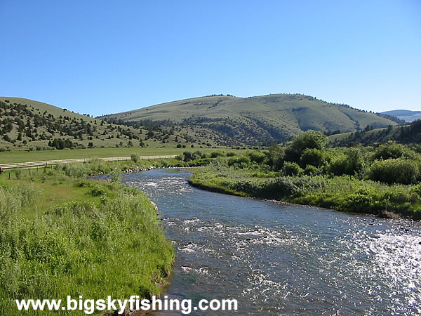 The Ruby River