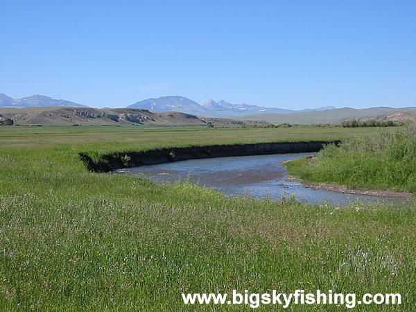 The Expansive and Scenic Ruby Valley of Montana