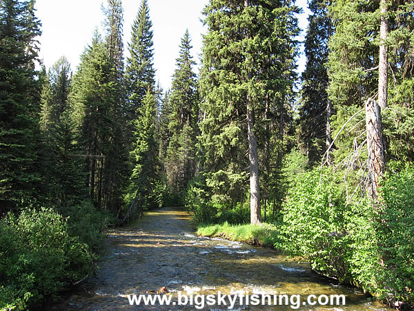 Daly Creek in the Sapphire Mountains