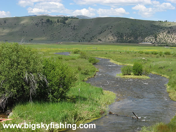 West Fork Rock Creek in the Philipsburg Valley