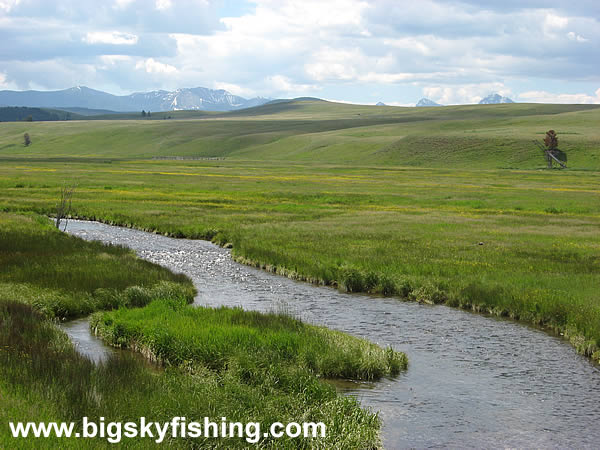 Grasslands & Mountains in the Philipsburg Valley