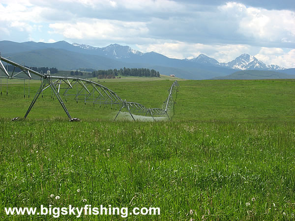 Irrigation in the Philipsburg Valley