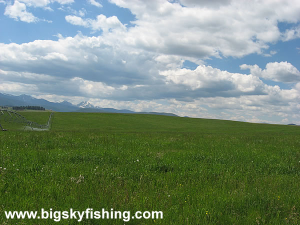 Expansive Grasslands in the Philipsburg Valley