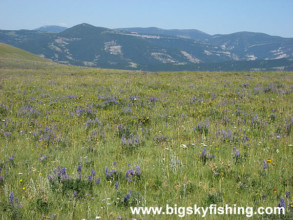 The Smith River Region of Montana, Photo #3