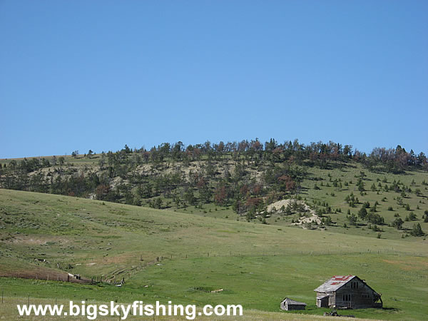 Abandoned Homestead Along the Drive