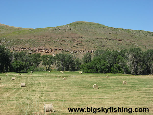 Fields of Hay