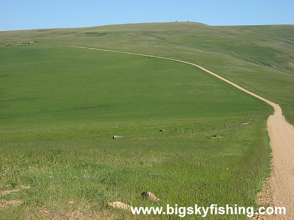 Grass and Prairie