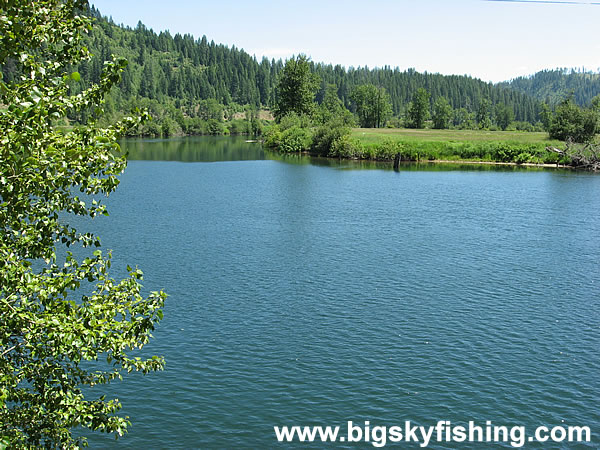 The St. Joe River Near St. Maries, Idaho