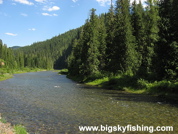 Clear Waters of the St. Joe River in Idaho