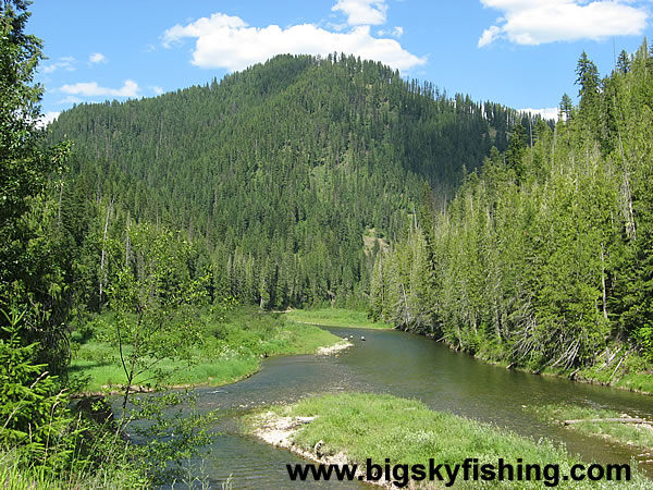 Forested Mountains Loom Above the St. Joe River Scenic Byway