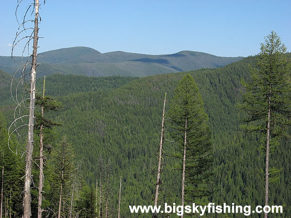 View From the Pass On the Idaho-Montana Border