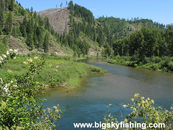 Logging Around the St. Joe River