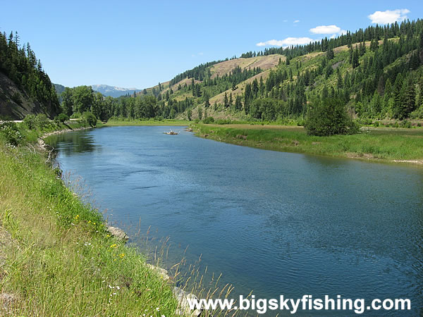 Scenic Views Along the St. Joe River