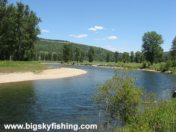 Forests & Meadows Along the St. Joe River in Idaho