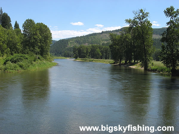 The St. Joe River at Calder, Idaho