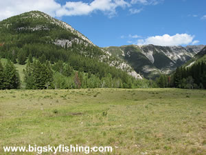 Forested Mountains of the Rocky Mountain Front