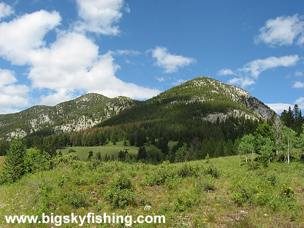 Forested Mountains of the Rocky Mountain Front