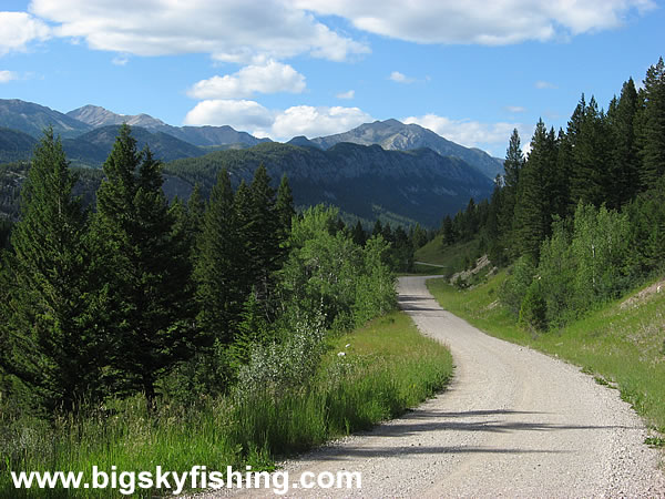 The Forested Mountains of the Rocky Mountain Front