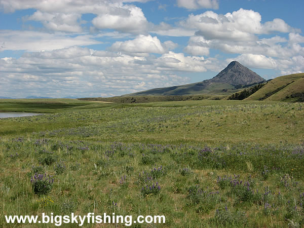 An Isolated Butte Along the Rocky Mountain Front