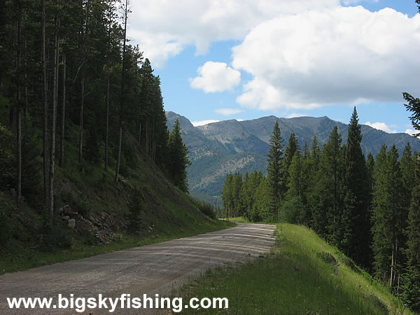 Driving Through the Forests of the Rocky Mountain Front