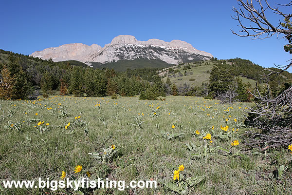 Beautiful Views of the Rocky Mountain Front in Montana