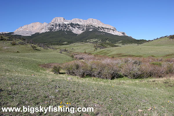 Vast Grasslands and Jagged Peaks in the Sun River WMA