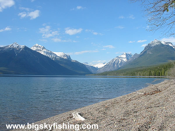 Gravel Beach on Lake McDonald