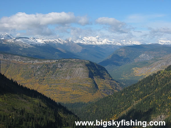 The View Near Logan Pass