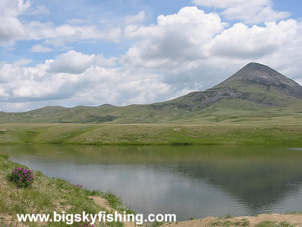 Gold Butte and a Hidden Trout Pond