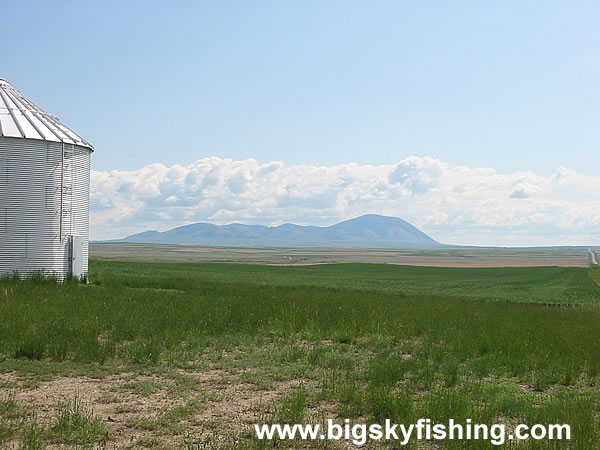 Distant Sweet Grass Hills Seen Near Sunburst, Montana #2