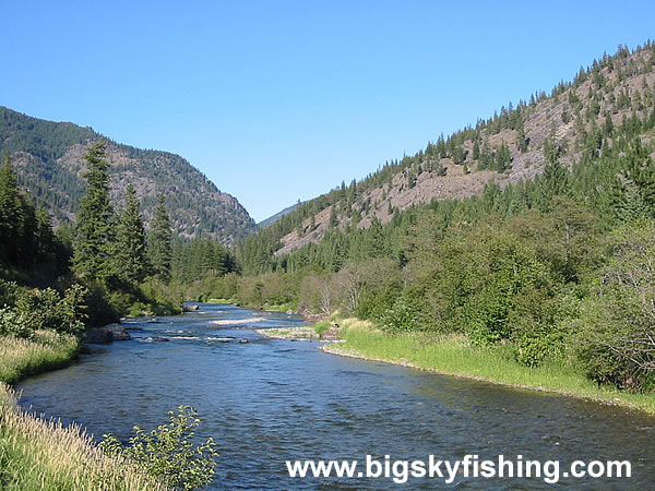 Forested Mountains Above The Thompson River