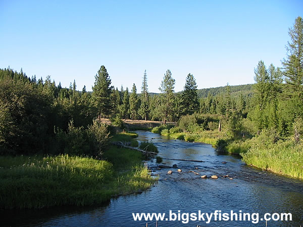 Middle Section of the Thompson River in Northwest Montana