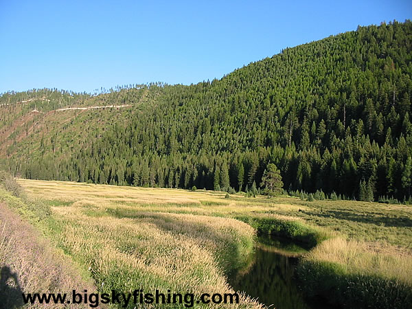 Open Meadow Along the Thompson River in Montana