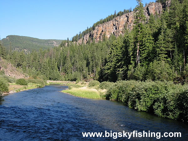 Forested Mountains Surround the Thompson River