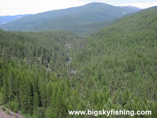 Looking Toward Yaak Falls in Northwest Montana