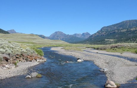 Soda Butte Creek in Yellowstone National Park