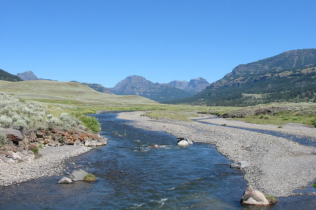 Soda Butte Creek in Yellowstone National Park