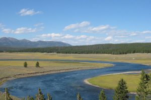 Yellowstone River in Hayden Valley