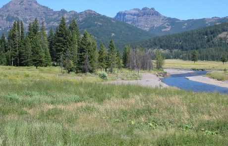 Soda Butte Creek in Yellowstone National Park