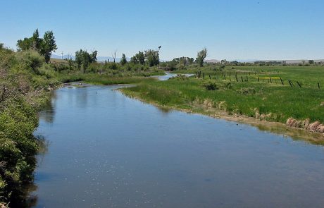 Beaverhead River at Poindexter Slough